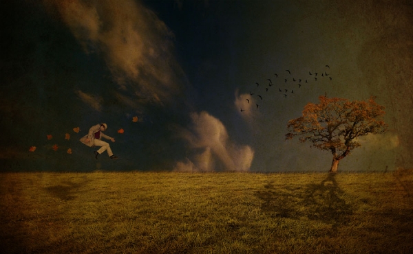 Photograph Kaveh Hosseini The Joy on One Eyeland